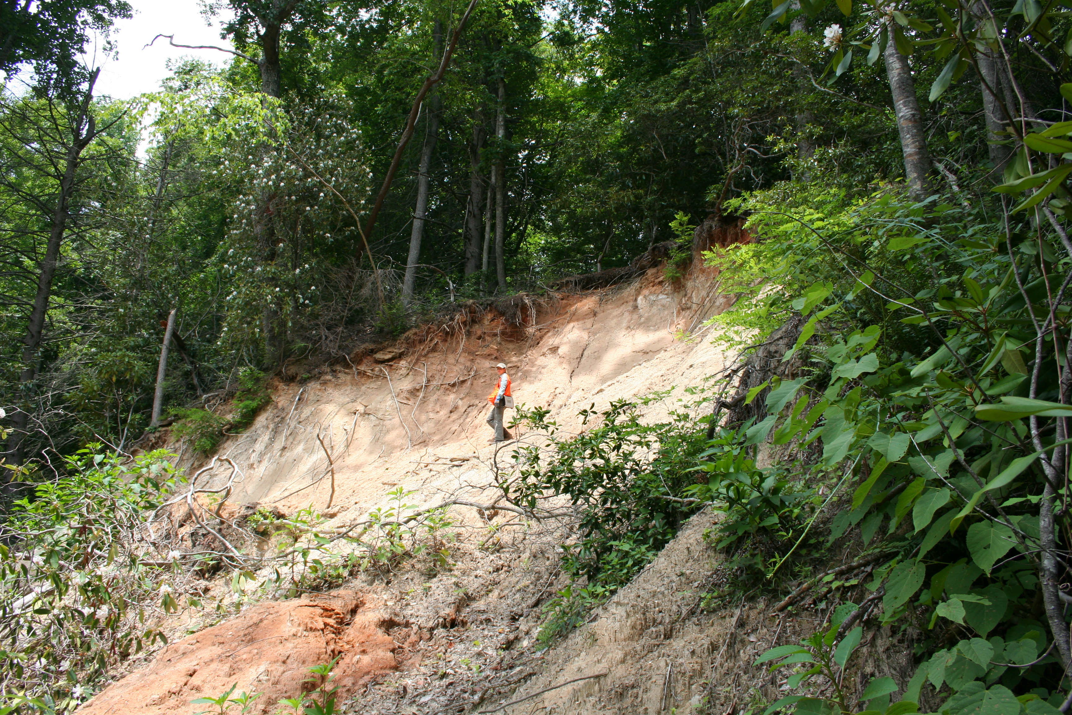 Landslide Photo