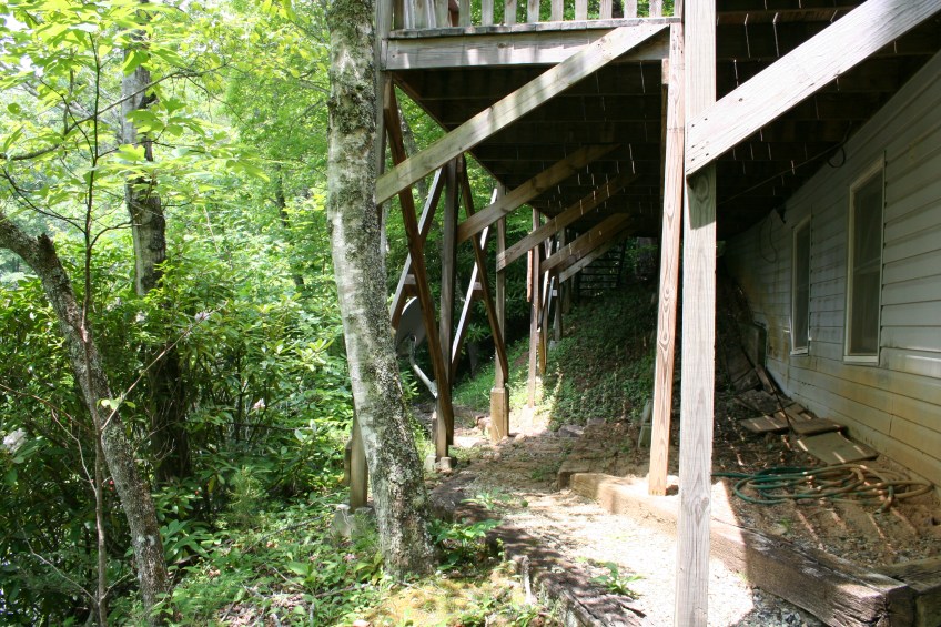 Leaning trees and deck